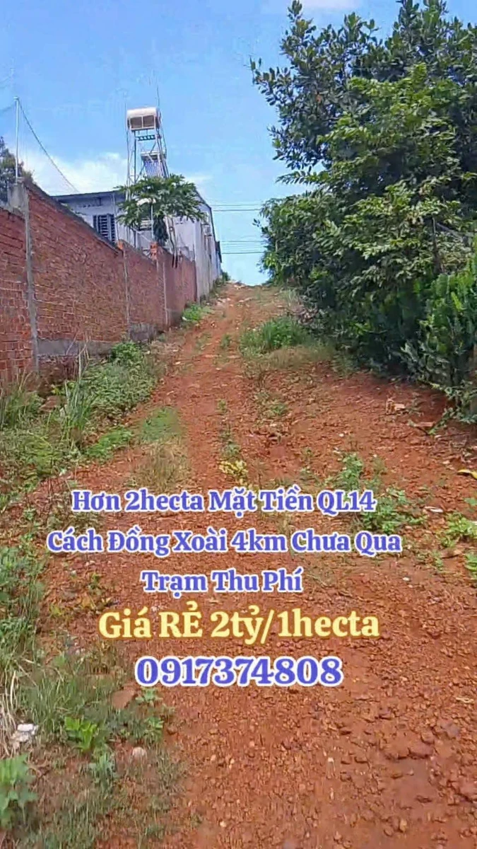 Bán đất mặt tiền QL14 hơn 2 hecta Đồng Xoài, Bình Dương - Ảnh thu nhỏ 3