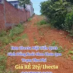 Bán đất mặt tiền QL14 hơn 2 hecta Đồng Xoài, Bình Dương - Ảnh thu nhỏ 3