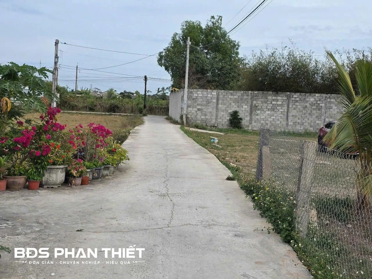 Bán đất 1.000 m² quy hoạch thổ cư, Kim Bình, Phan Thiết - Ảnh 1