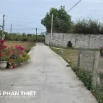Bán đất 1.000 m² quy hoạch thổ cư, Kim Bình, Phan Thiết - Ảnh thu nhỏ 1