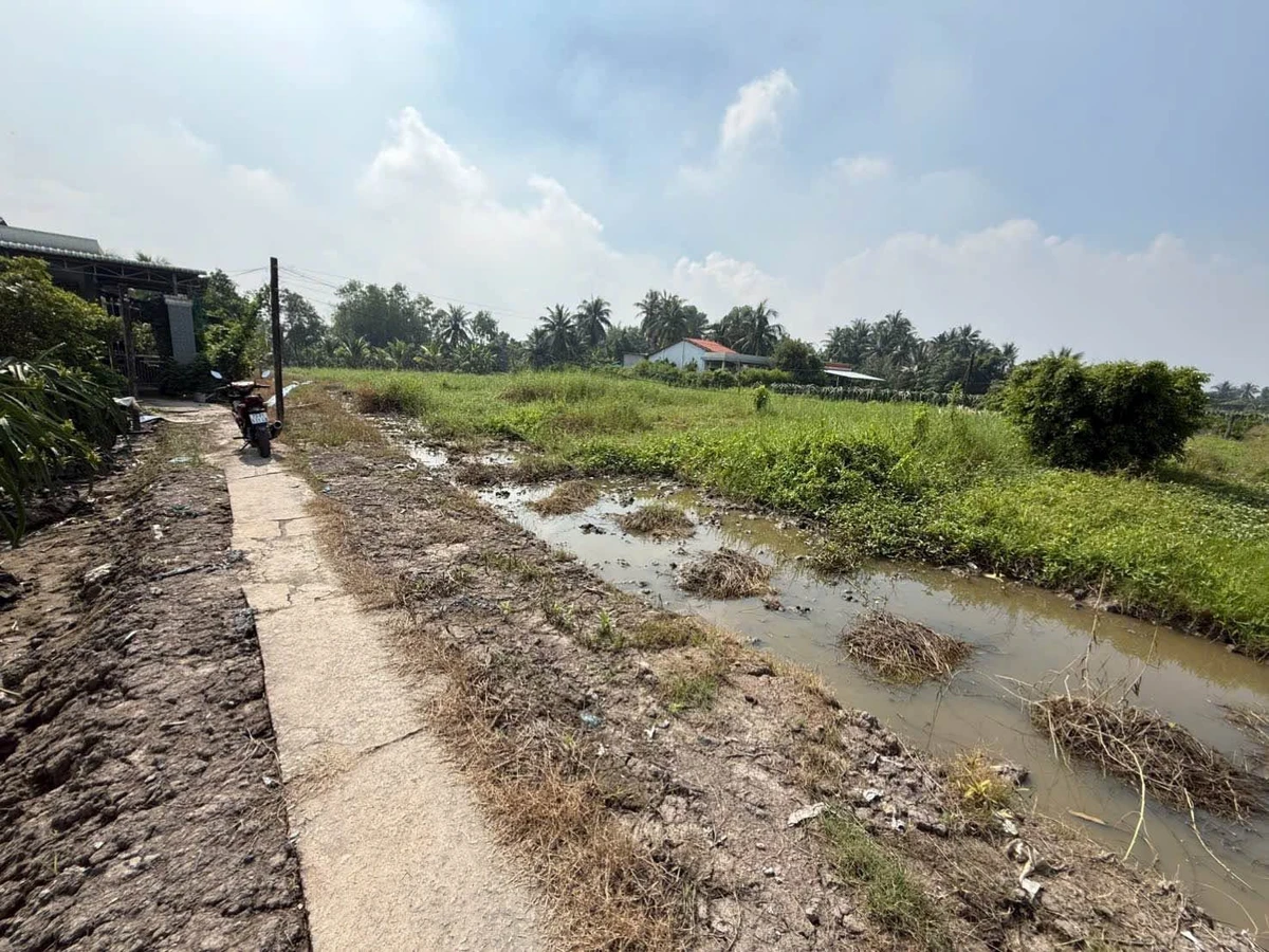Bán 2400m² đất lúa sổ hồng Tây Ninh 750tr/1000m² - Ảnh thu nhỏ 3