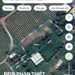 Bán đất Hàm Minh 1.943,5 m² – Bình Thuận - Ảnh thu nhỏ 1
