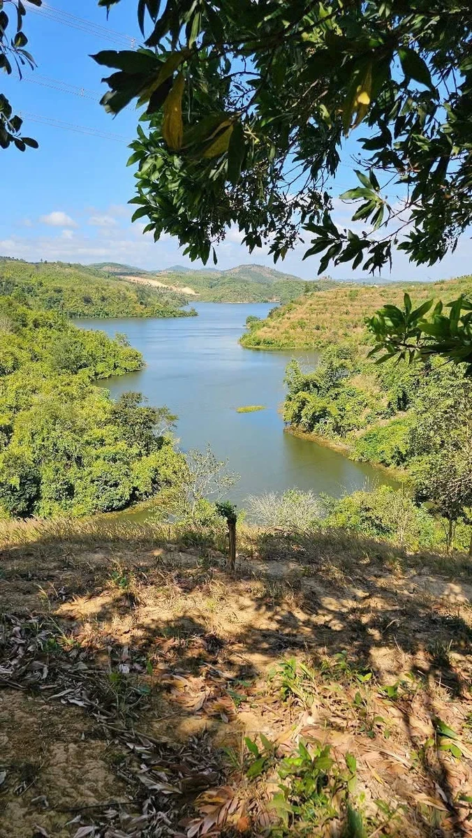 Bán 3 hectare đất Đắk Nông 450 triệu - Ảnh thu nhỏ 2