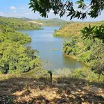 Bán 3 hectare đất Đắk Nông 450 triệu - Ảnh thu nhỏ 2