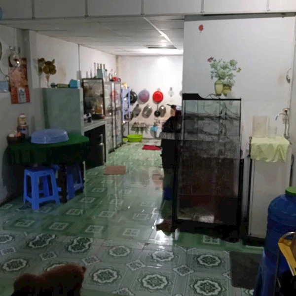 Bán nhà vườn cấp 4 168m2, 4 phòng ngủ tại xã Thạnh Đức, Bến Lức, Long An