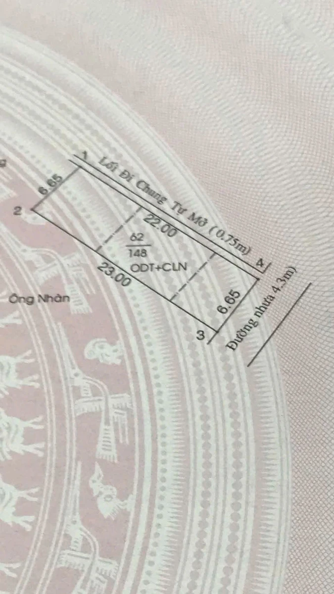 Bán đất Chánh Mỹ 60m² giá 2 tỷ hướng Đông Nam - Ảnh thu nhỏ 5