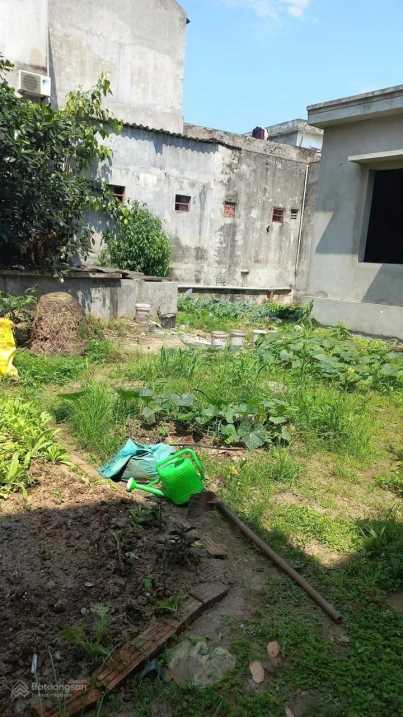 Bán đất nhà vườn không gian yên tĩnh giá siêu tốt - Ảnh thu nhỏ 2