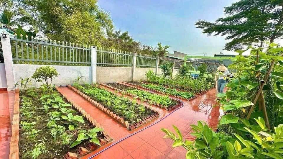 Bán nhà vườn 310m² thị trấn Cần Giờ gần QL50 - Ảnh thu nhỏ 3