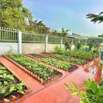 Bán nhà vườn 310m² thị trấn Cần Giờ gần QL50 - Ảnh thu nhỏ 3