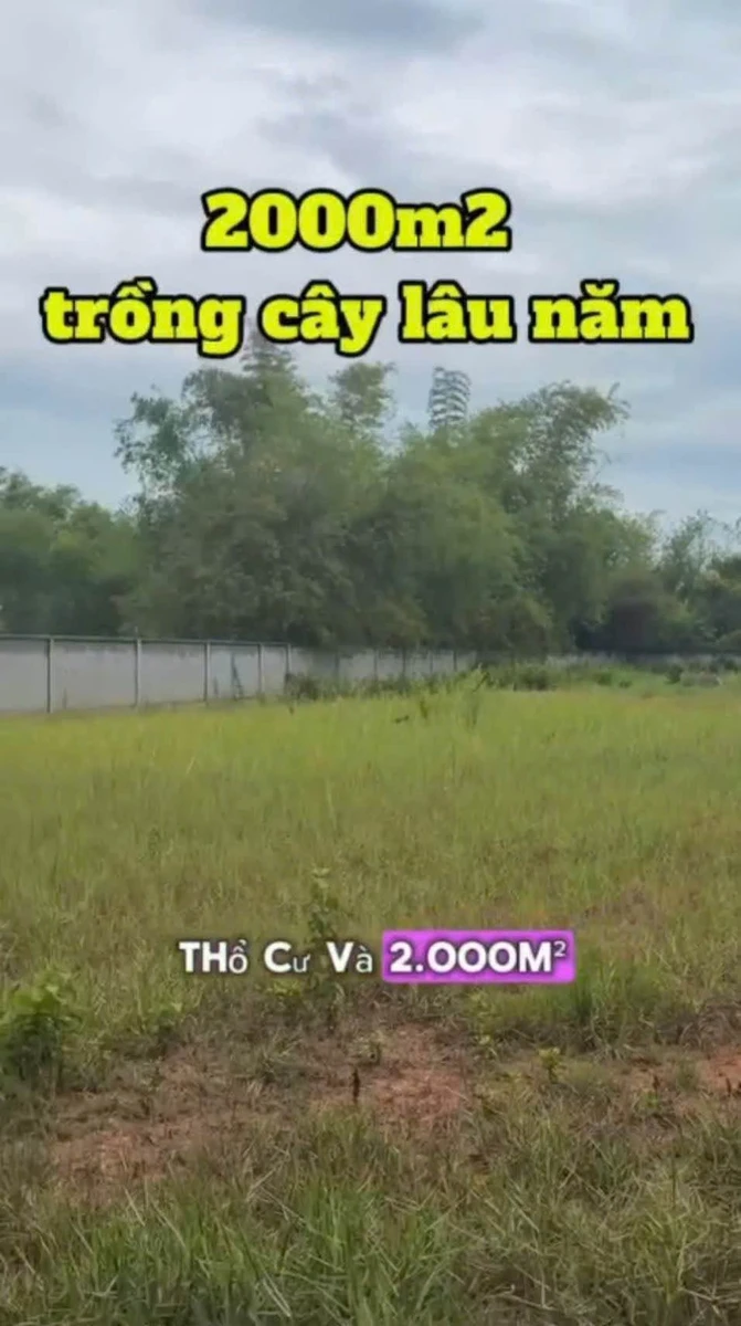 Bán đất 2.600m² Đức Hoà Long An, mặt tiền tỉnh lộ 822 - Ảnh thu nhỏ 4
