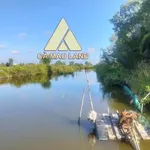 Bán vuông 7.420 m² đất thủy sản Cà Mau gần Rạch Bàn - Ảnh thu nhỏ 5