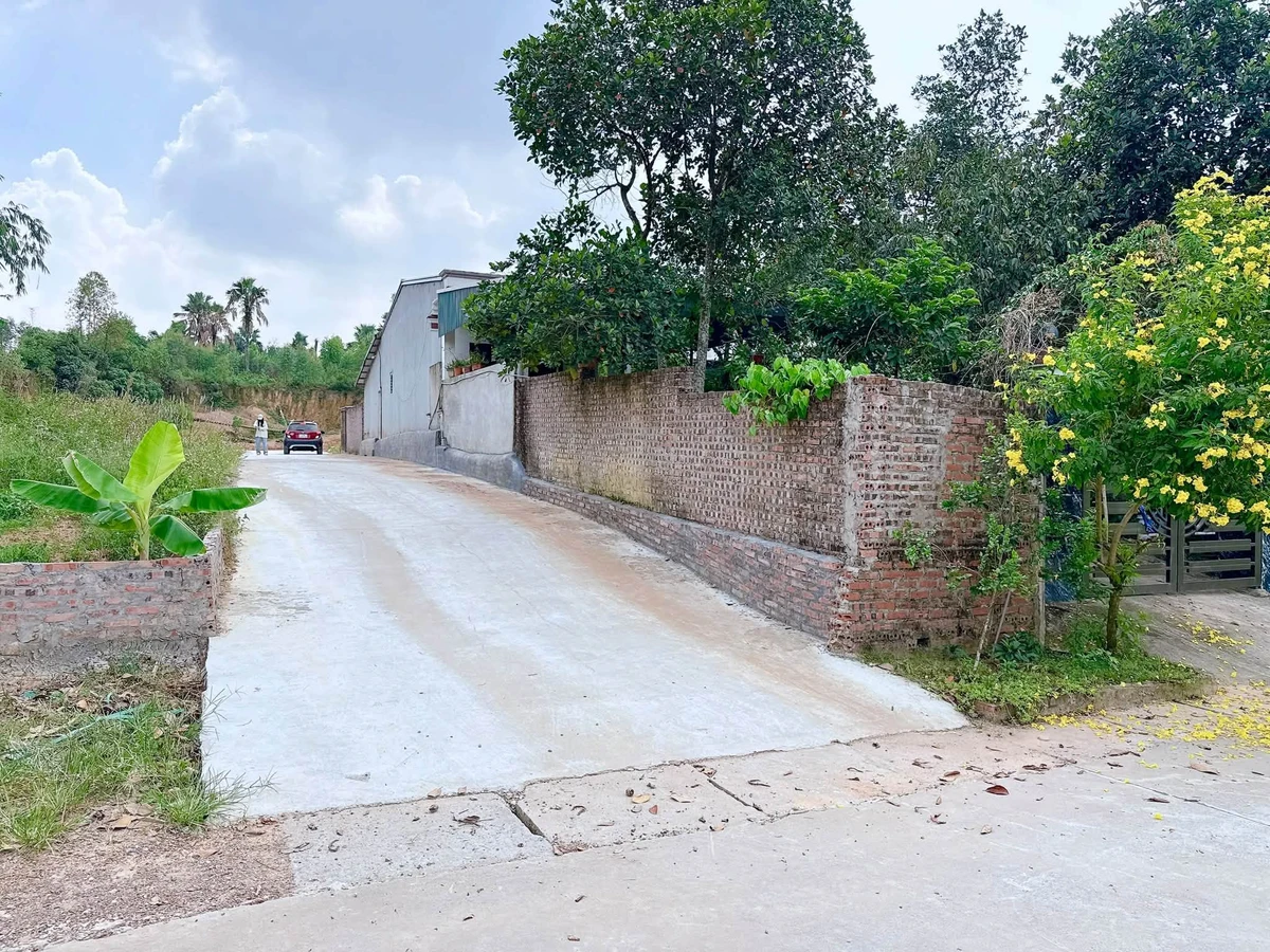 Bán 101m² đất Khu 14 Tiên Kiên, Bình Dương, 360 triệu - Ảnh thu nhỏ 4