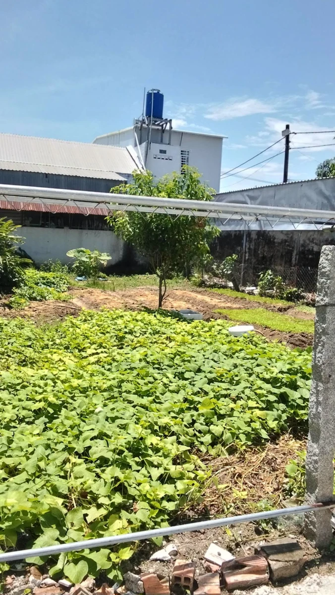 Bán đất hẻm Nguyễn Trung Trực 136m² giá 900 triệu - Ảnh thu nhỏ 2