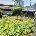 Bán đất hẻm Nguyễn Trung Trực 136m² giá 900 triệu - Ảnh thu nhỏ 2