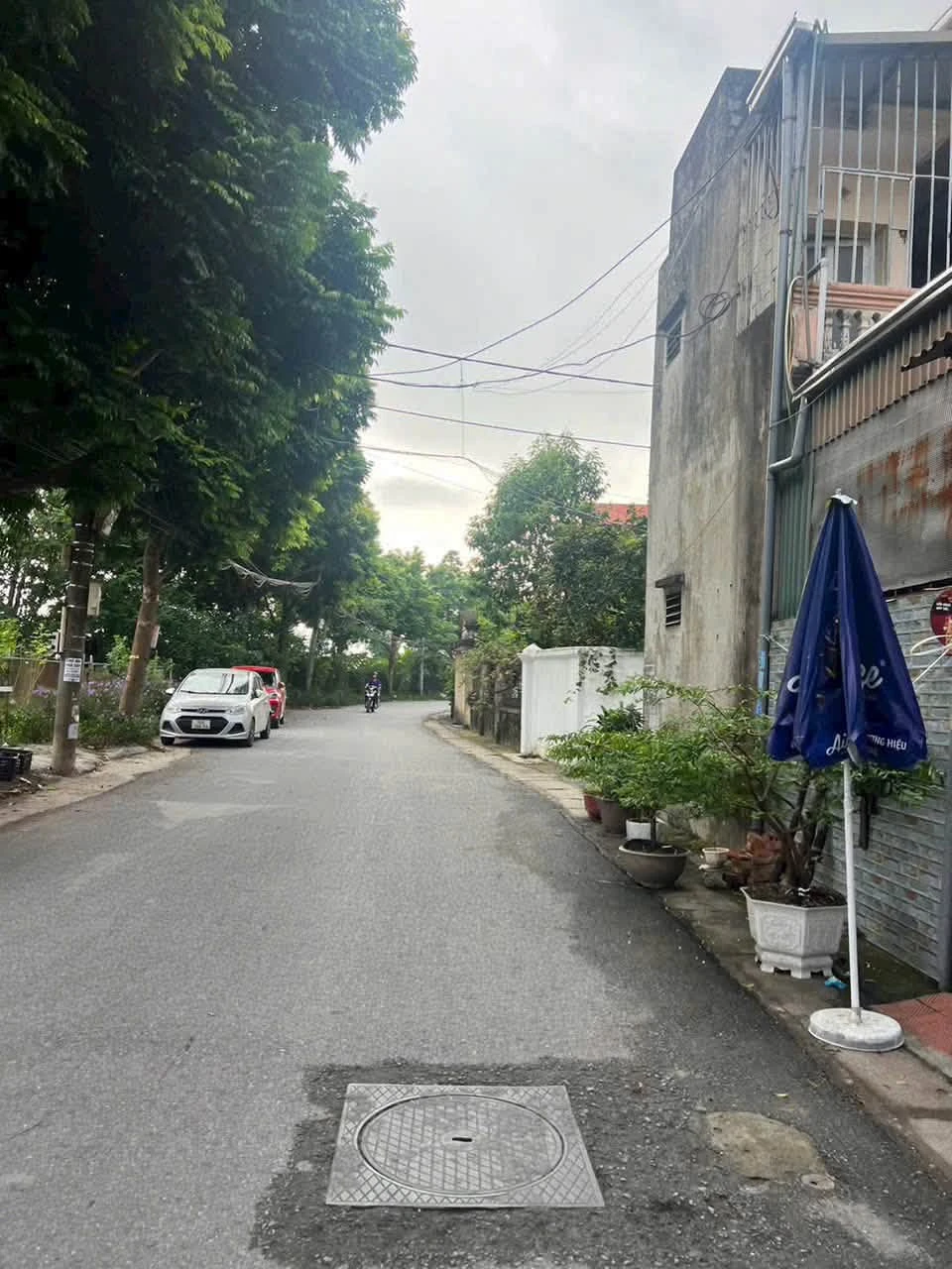 Bán đất Tứ Hiệp Thanh Trì 52,5m² sổ đỏ - Ảnh 1