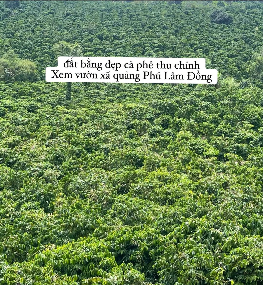 Bán đất 2,5 hecta có sổ tại Quảng Phú, Lâm Đồng - Ảnh 1