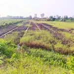 Bán đất vườn 3000m² mặt tiền Rạch Kênh, Bến Lức Long An, 1 tỷ 650 triệu - Ảnh thu nhỏ 4