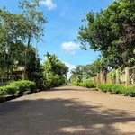 Bán đất mặt tiền nhựa Hồ EaChu Kăp, Tân Lập, Buôn Ma Thuột 105m2 giá 950 triệu - Ảnh thu nhỏ 3