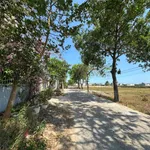 Bán lô đất 129.4m2 Ngô Đức Tốn, Phan Thiết - Ảnh thu nhỏ 1