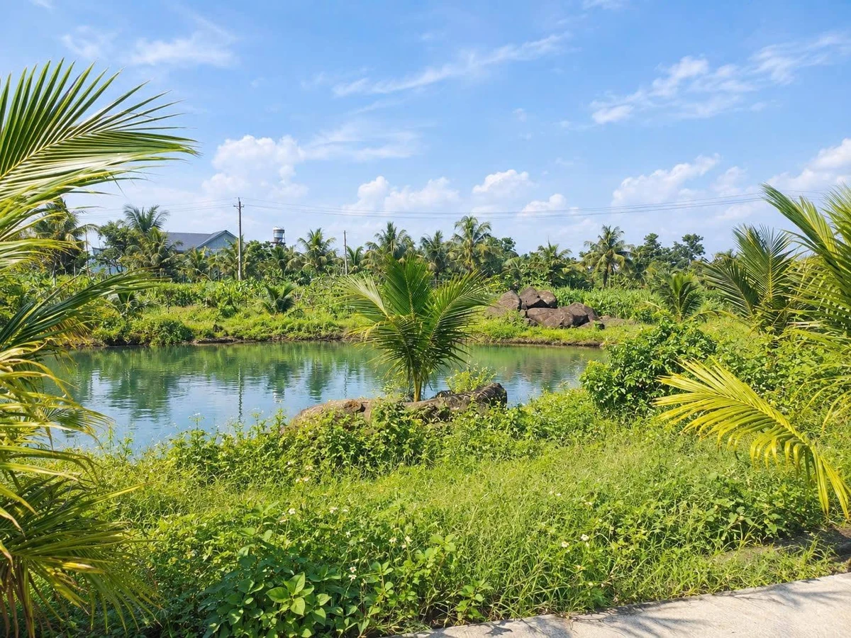 Bán đất nền 1 sào 200m² Xuân Thọ sổ riêng - Ảnh 1