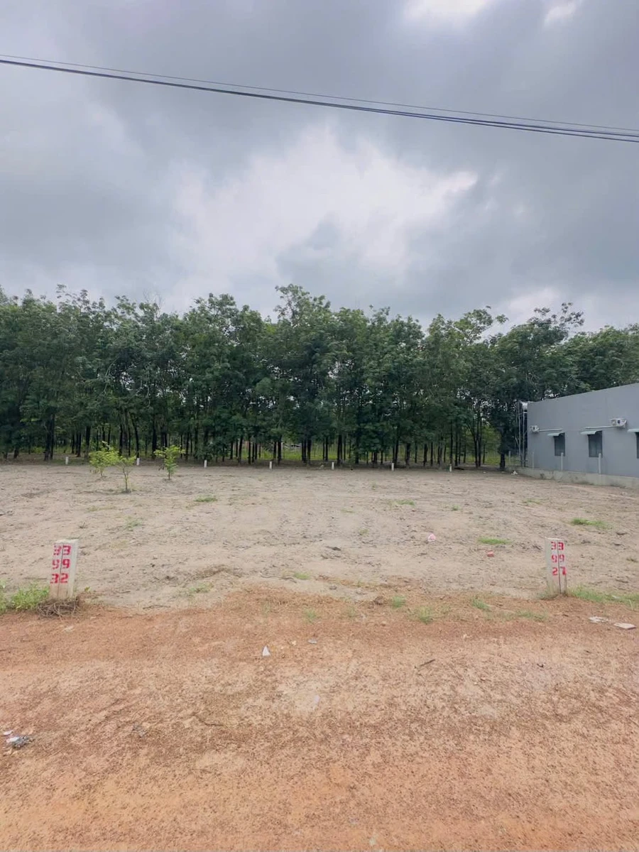 Bán 2 lô đất liền kề 125m² Tân Châu Tây Ninh - Ảnh 1
