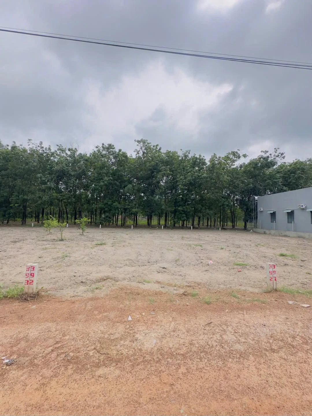 Bán 2 lô đất liền kề 125m² Tân Châu Tây Ninh - Ảnh 1