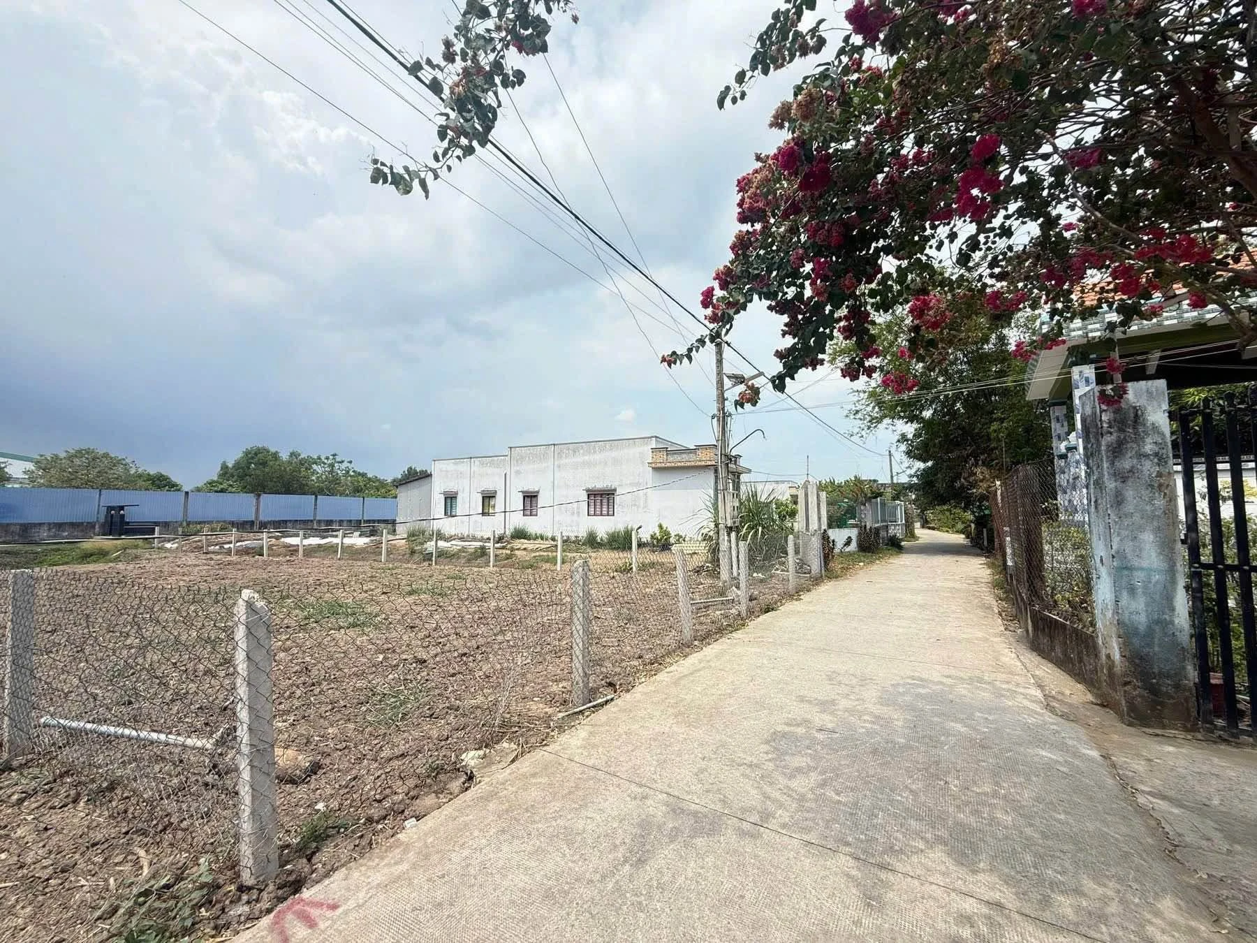 Bán 2 nền đất 500m² Trường Nguyễn Đình Chiểu Mỹ Lộc - Ảnh 1