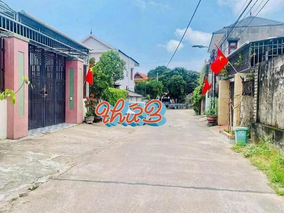 Bán đất 10x27m (270m²) Bắc Lý Q12 giá 3 tỷ - Ảnh thu nhỏ 2