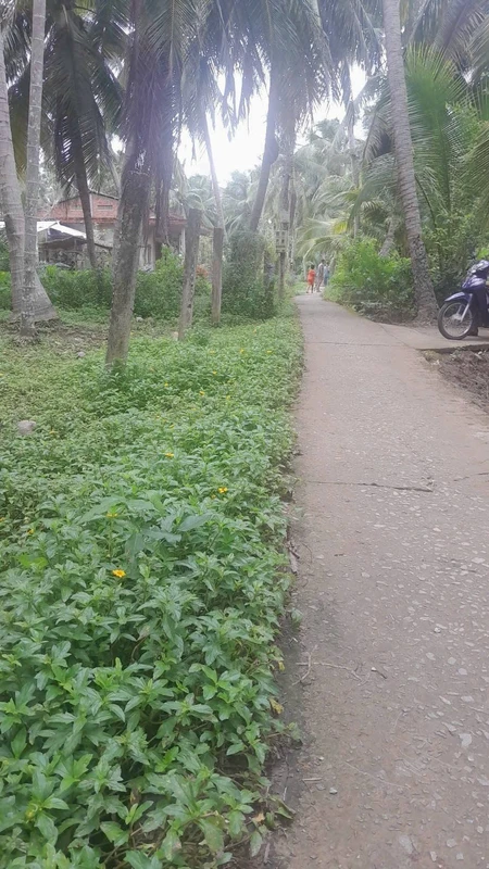Bán đất Hòa Lộc 768m² ngang 20m
