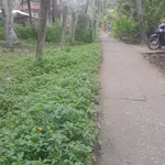 Bán đất Hòa Lộc 768m² ngang 20m - Ảnh thu nhỏ 1