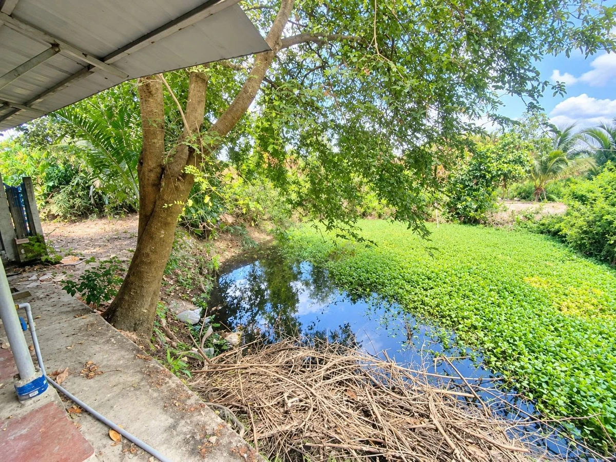 Bán đất thổ cư 1000m2 có nhà cấp 4, mặt tiền đường, view sông tại Cần Đước, Tây Ninh - Ảnh thu nhỏ 5