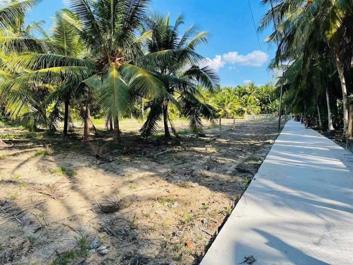 Bán đất thổ cư 160m² Xuân Đông, Chợ Gạo, Tiền Giang giá 320 triệu - Ảnh thu nhỏ 3