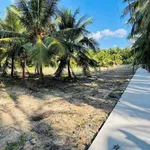 Bán đất thổ cư 160m² Xuân Đông, Chợ Gạo, Tiền Giang giá 320 triệu - Ảnh thu nhỏ 3