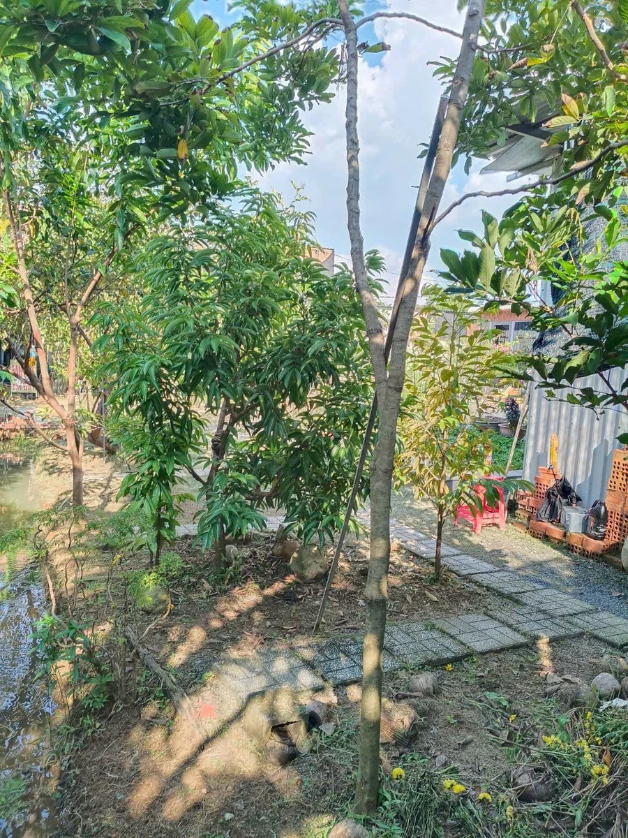 Bán đất Phường Bửu Long 300m2 1 tỷ 650 triệu - Ảnh 1