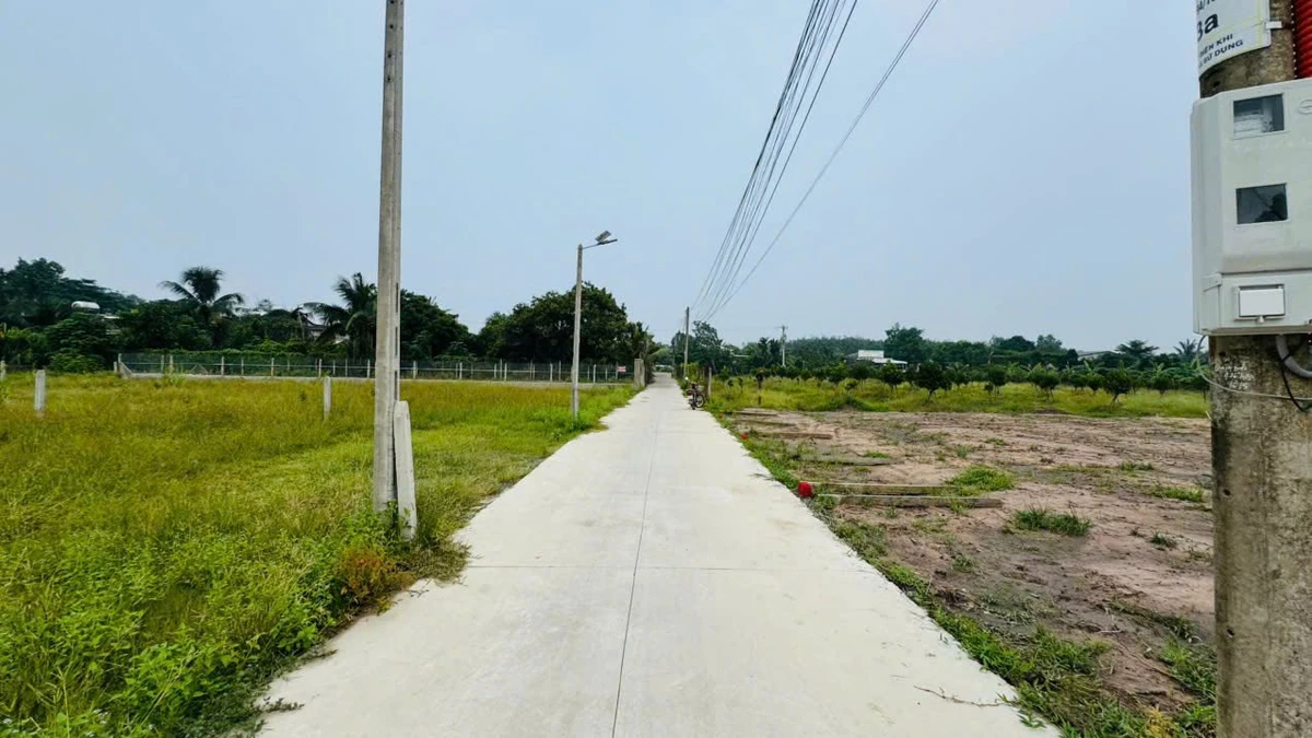 Bán đất 5x50m có 80m² thổ cư Phước Tây 400 triệu - Ảnh thu nhỏ 3