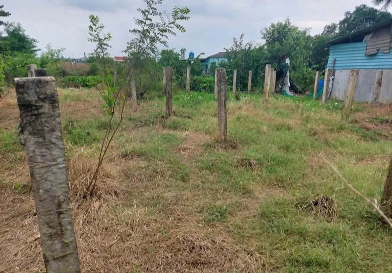 Bán đất xây nhà vườn view kênh 1339m2 Tân Trụ