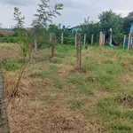 Bán đất xây nhà vườn view kênh 1339m2 Tân Trụ - Ảnh thu nhỏ 1