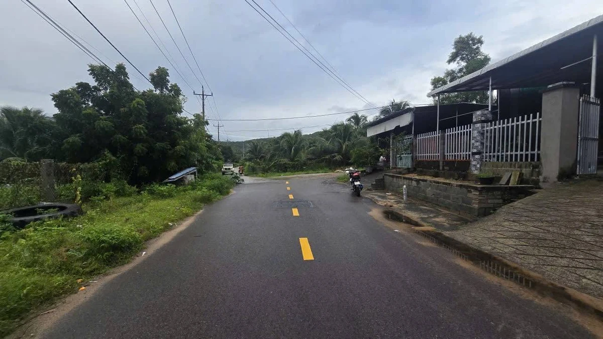 Bán 2,3 hecta đất cây trồng Mũi Né, Phan Thiết - Ảnh thu nhỏ 4