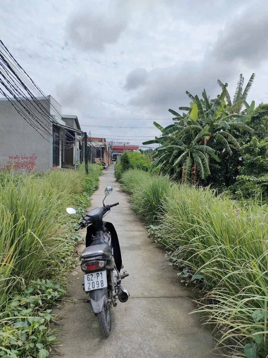 Bán nền đất 250m2 mặt tiền đường Lộ 824, Tây Ninh, 1.9 tỷ - Ảnh thu nhỏ 4