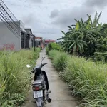 Bán nền đất 250m2 mặt tiền đường Lộ 824, Tây Ninh, 1.9 tỷ - Ảnh thu nhỏ 4