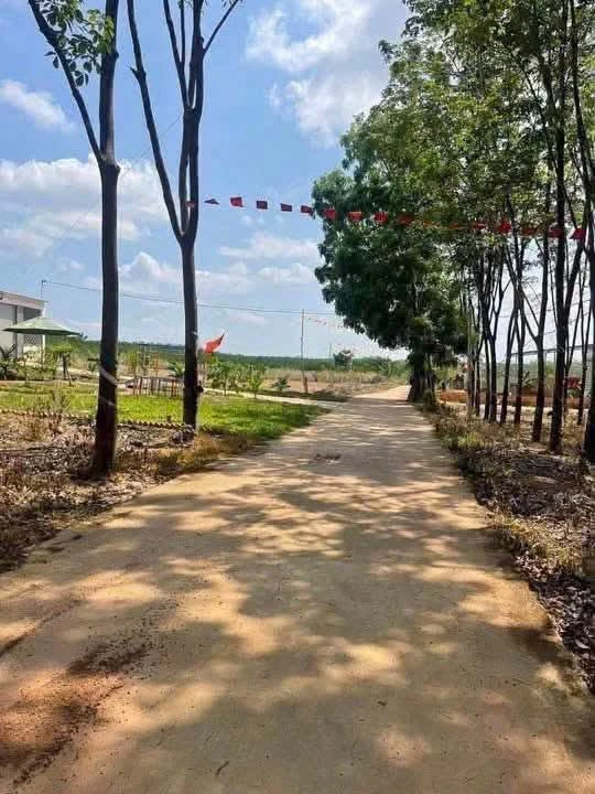 Bán đất 990m² KCN Đồng Xoài 2, Đồng Nai, 600 triệu - Ảnh thu nhỏ 3
