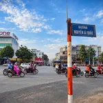 Bán biệt thự góc 2 mặt tiền 262m2, 7PN, Hồ Văn Đại - Ảnh thu nhỏ 1