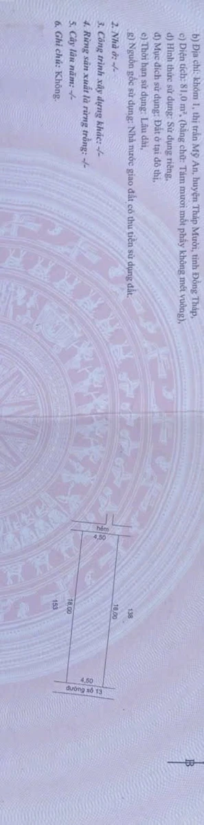 Bán nền đất 81m² tại Tháp Mười, Đồng Tháp 1,6 tỷ - Ảnh thu nhỏ 5