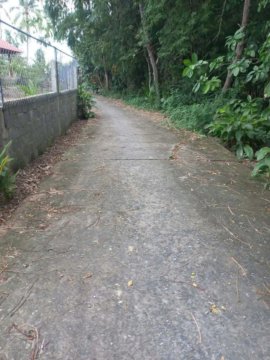 Bán đất Hòa Quý view sông 104,6m² giá 2,3 tỷ - Ảnh thu nhỏ 2