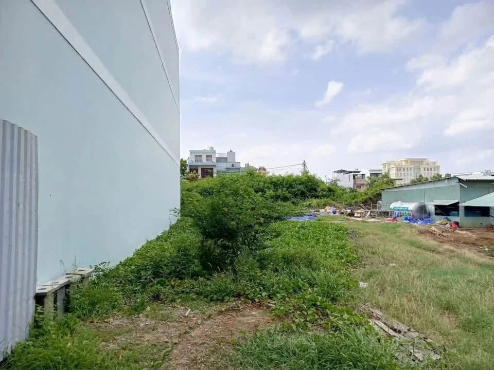 Bán lô đất thổ cư 100m2 Hoàng Bích Sơn Phan Thiết - Ảnh thu nhỏ 3