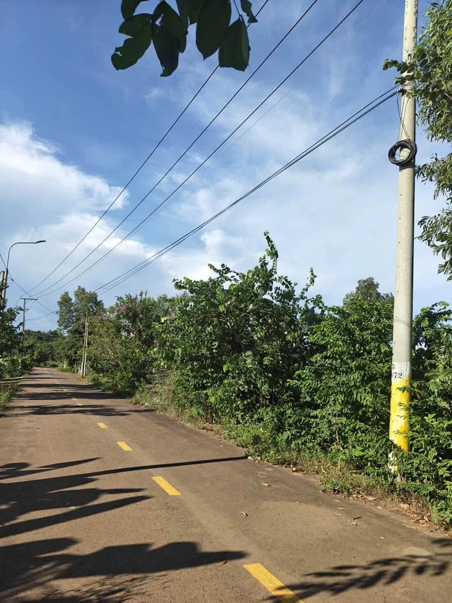 Bán đất 3600 m² Sông Rây, Cẩm Mỹ, Đồng Nai - Ảnh thu nhỏ 3