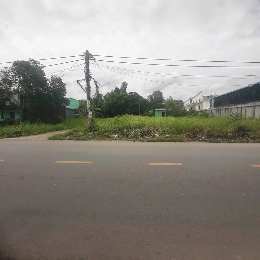 Bán lô góc mặt tiền 528m² Đoàn Nguyễn Tuấn, Bình Chánh, 13,5 tỷ - Ảnh 1