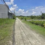 Bán đất thổ cư 5x17m sổ hồng đối diện cổng Ecity Tân Đức, Hựu Thạnh, Đức Hòa - Ảnh thu nhỏ 1