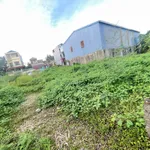 Bán đất 48,6m2 thôn Tam Đa, xã Tam Hưng, Hà Nội, giá giảm còn khoảng 2,6 tỷ - Ảnh thu nhỏ 4