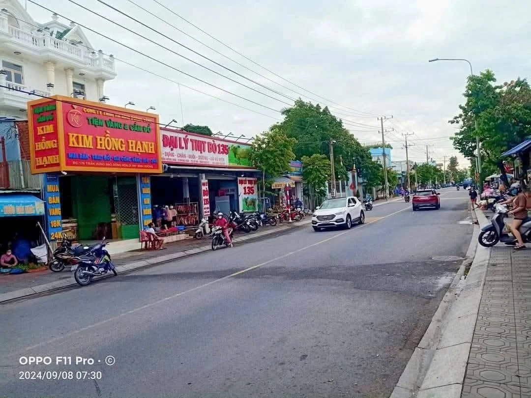 Bán lô đất mặt tiền Trần Hưng Đạo 1816m2, Đông Hòa, Dĩ An, Bình Dương, giá 64 tỷ - Ảnh 1